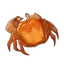 Crab