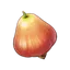 Sunsettia
