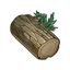 Fragrant Cedar Wood