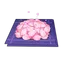 Sakura Bloom