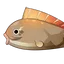 Pufferfish