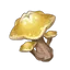 Starshroom