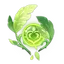 Dendroculus