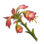 Mourning Flower