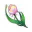 Rainbow Rose