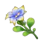 Pluie Lotus