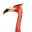 Red Flamingo